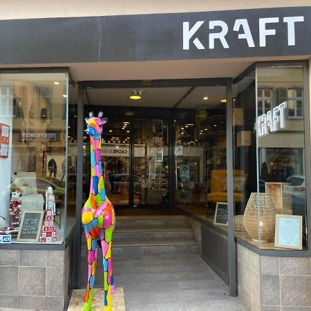 Appartements Des 2 Tetes Κολμάρ Εξωτερικό φωτογραφία