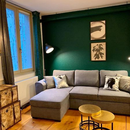 Appartements Des 2 Tetes Κολμάρ Εξωτερικό φωτογραφία