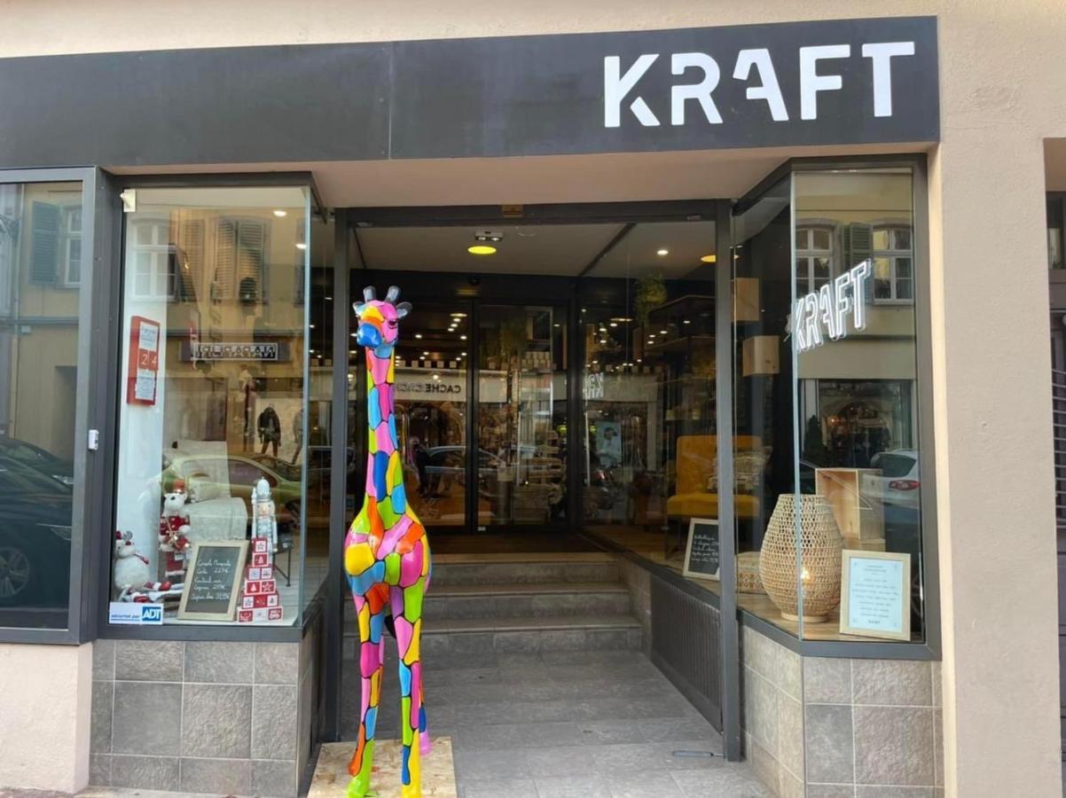 Appartements Des 2 Tetes Κολμάρ Εξωτερικό φωτογραφία