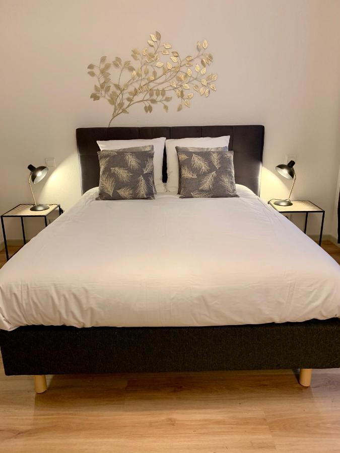 Appartements Des 2 Tetes Κολμάρ Εξωτερικό φωτογραφία