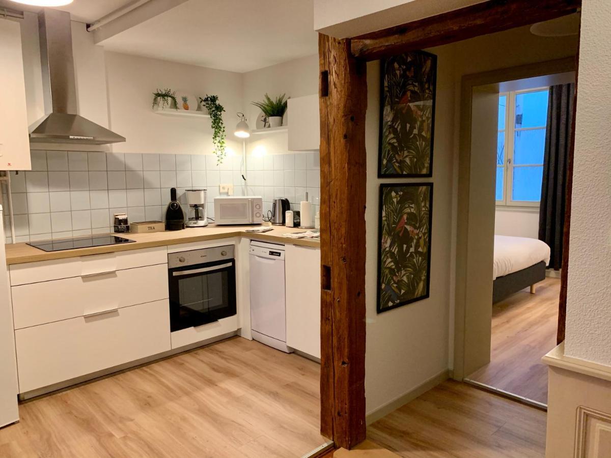 Appartements Des 2 Tetes Κολμάρ Εξωτερικό φωτογραφία