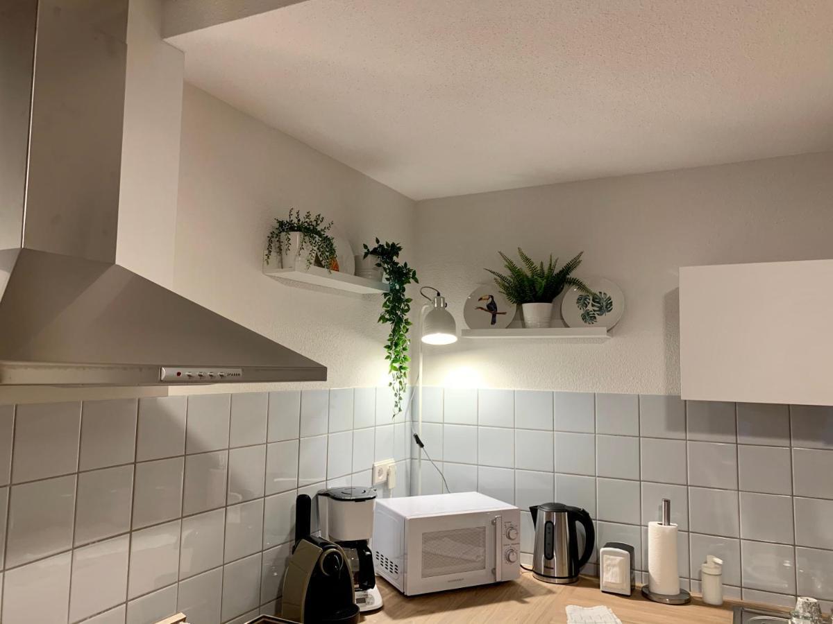 Appartements Des 2 Tetes Κολμάρ Εξωτερικό φωτογραφία