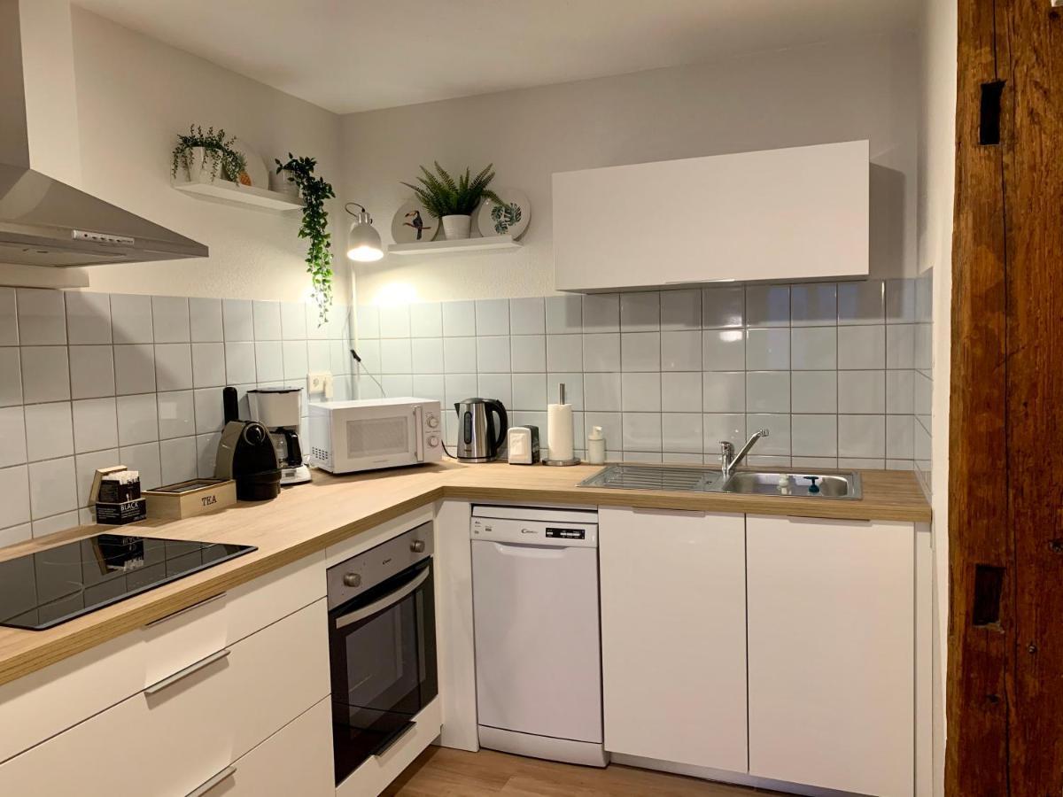 Appartements Des 2 Tetes Κολμάρ Εξωτερικό φωτογραφία
