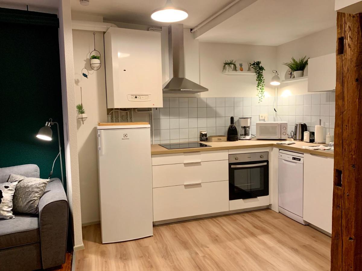 Appartements Des 2 Tetes Κολμάρ Εξωτερικό φωτογραφία